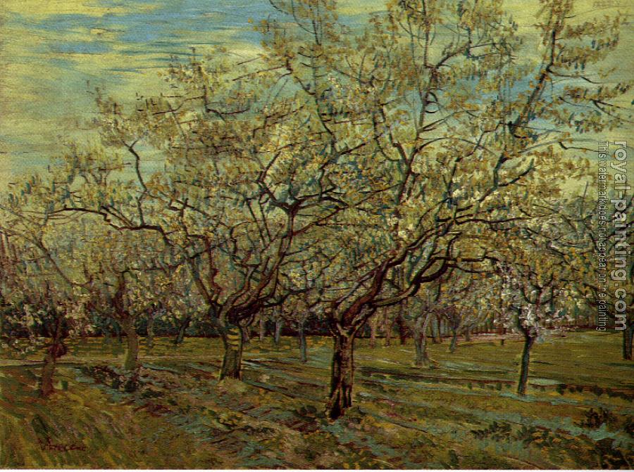 Vincent Van Gogh : Orchard with Blossoming Plum Trees